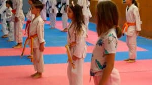 Les arts marcials desapareixen de l’oferta escolar