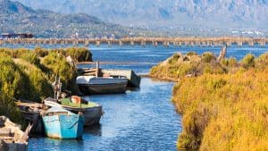 Imatge del Delte de l'Ebre