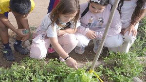 nens als horts a la setmana bio al Parc Agrari
