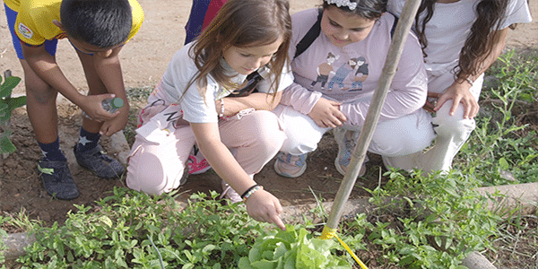 nens als horts a la setmana bio al Parc Agrari