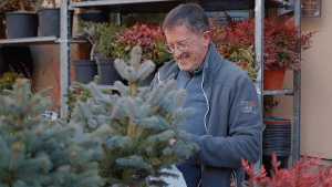 Quim Turon Viverista expositor a la Fira de l'Avet d'Espinelves, Girona