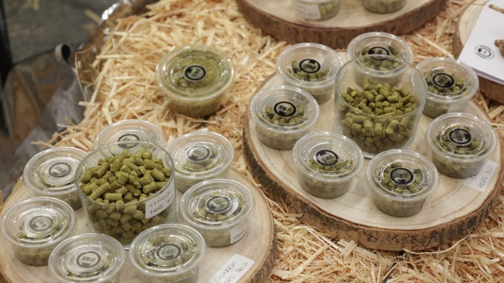 Beer Festival 2026