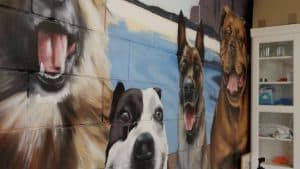 Mascotes a l'estiu